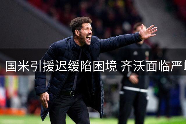 国米引援迟缓陷困境 齐沃面临严峻赛季考验
